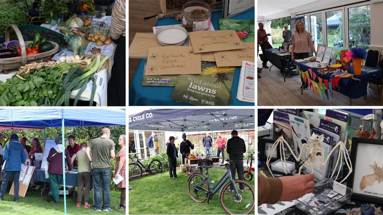 Winchester Green Fair collage